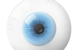 МРТ диагностика глазных орбит, зрительных нервов и головного мозга — что показывает обследование?
